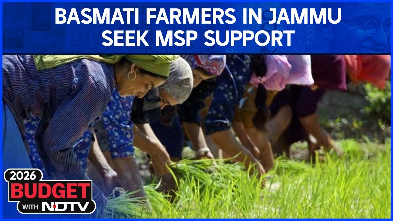 Budget 2026 | Union Budget 2026: Basmati Farmers In Jammu Seek MSP Support