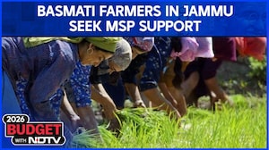 Budget 2026 | Union Budget 2026: Basmati Farmers In Jammu Seek MSP Support