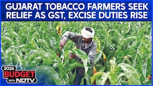 Budget 2026 News | Gujarat&rsquo;s Tobacco Farmers Seek Relief Amid GST, Excise Burden