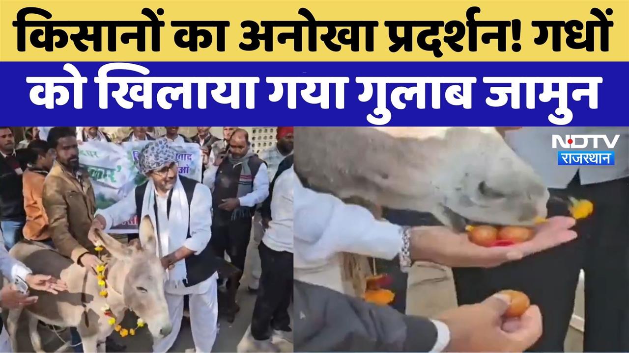 Farmer Protest in Udaipur: किसान परेशान कृषि विभाग के बाहर किया अनोखा प्रदर्शन | Viral Video
