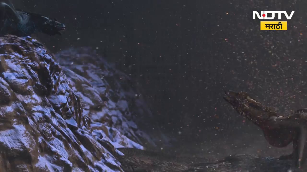 BMC Elections | मुंबई कुणाची? मुंबईत कुठे काय परिस्थिती? पाहा सविस्तर | NDTV मराठी