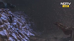 BMC Elections | मुंबई कुणाची? मुंबईत कुठे काय परिस्थिती? पाहा सविस्तर | NDTV मराठी