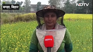 बिहार के इस कपल ने शहद से कैसे बदल दी अपनी किस्मत, लाखों में करते हैं कमाई