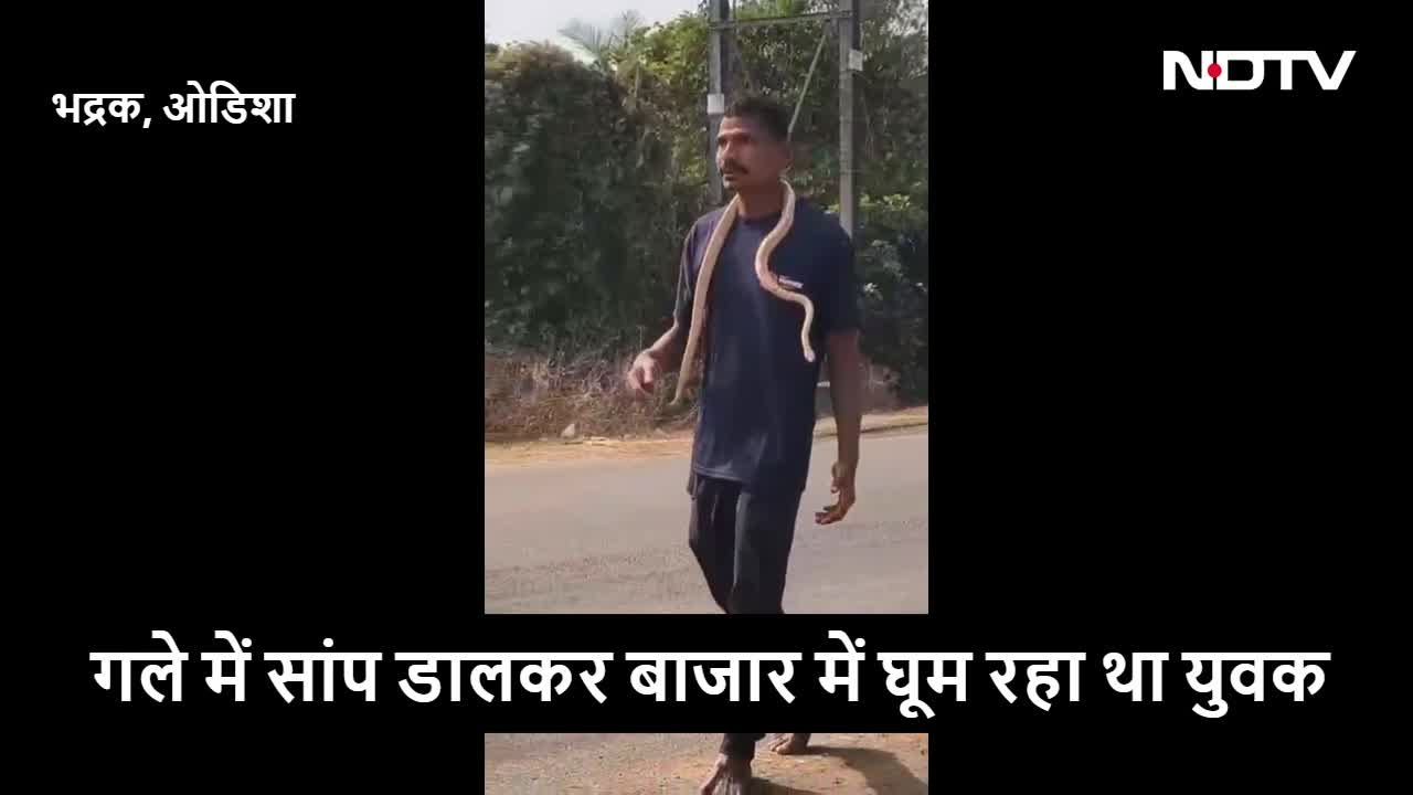 गले में सांप को लेकर बाजार में घूम रहा था शख्स, अचानक काट लिया, पहुंच गया अस्पताल, देखें VIDEO