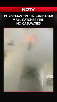 Christmas Tree In Faridabad Mall Catches Fire, No Casualties