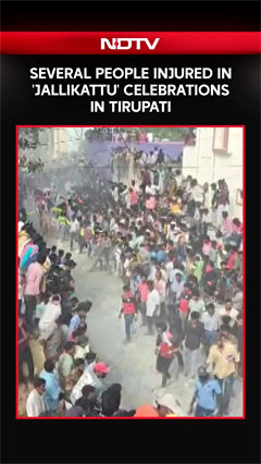 Several People Injured In 'Jallikattu' Celebrations Held At Kotha Shanambatla In Tirupati
