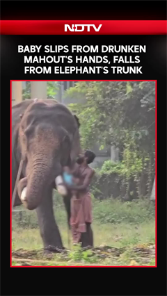 Baby Slips From Intoxicated Mahout's Hands In Kerala During A Risky Ritual