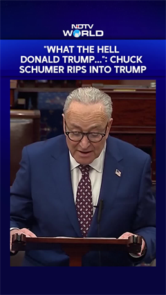 "What The Hell Does Donald Trump...": Chuck Schumer Rips Into Trump
