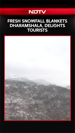 Himachal Pradesh News | Fresh Snowfall Blankets Dharamshala, Delights Tourists