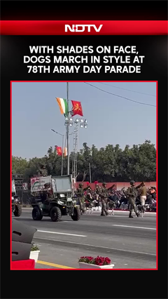 With Shades On Face, Dogs March In Style At 78th Army Day Parade In Jaipur