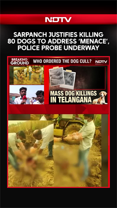 Video: Telangana News | Votes Won, Voices Buried: 500 Dogs Killed In A Week To Fulfil 'Election Promise'