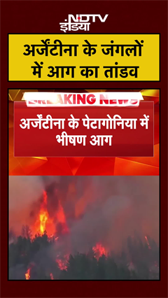 Video: अर्जेंटीना के जंगलों में आग का तांडव | #shorts #ytshorts