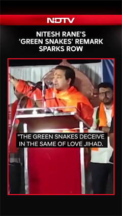 Maharashtra Minister Nitesh Rane's 'Green Snakes' Remark Sparks Storm Ahead of BMC Polls