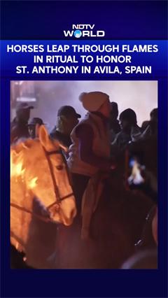 Spain News | Horses Leap Through Flames In A Ritual To Honor St. Anthony In Avilla, Spain