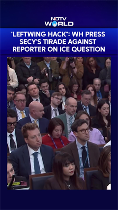 Minneapolis Shooting | White House Press Secy's Tirade Against Reporter On ICE Shooting