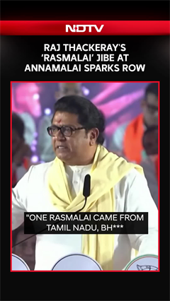 Raj Thackeray's 'Rasmalai' Jibe At Tamil Nadu BJP Leader Annamalai