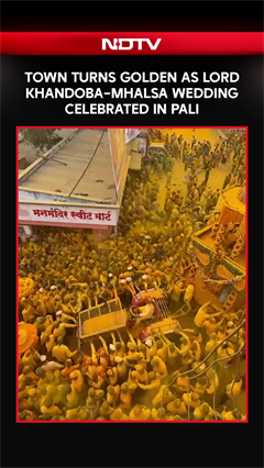 Maharashtra News | Town Turns Golden As Lord Khandoba&ndash;Mhalsa Wedding Celebrated In Pali