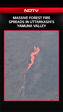 Uttarakhand Forest Fire | Massive Forest Fire Spreads In Uttarkashi's Yamuna Valley