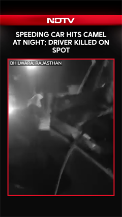 Video: Rajasthan News | Bhilwara: Speeding Car Hits Camel at Night; Driver Killed on Spot