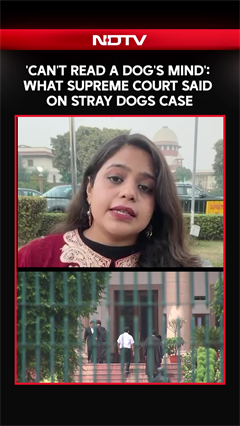 Video: Supreme Court On Stray Dogs | 'Can't Judge Dog's Mood': Supreme Court On Dogs Case Hearing