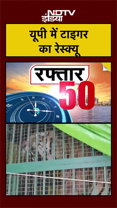 यूपी में Tiger का रेस्क्यू | UP News | #tiger #shorts #ytshorts