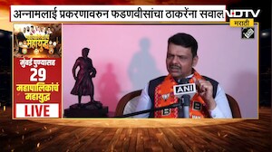 'ठाकरे जे बोलले तो तामिळ भाषिकांचा अपमान नाही का?', अन्नामलाई प्रकरणावरुन फडणवीसांचा ठाकरेंना सवाल