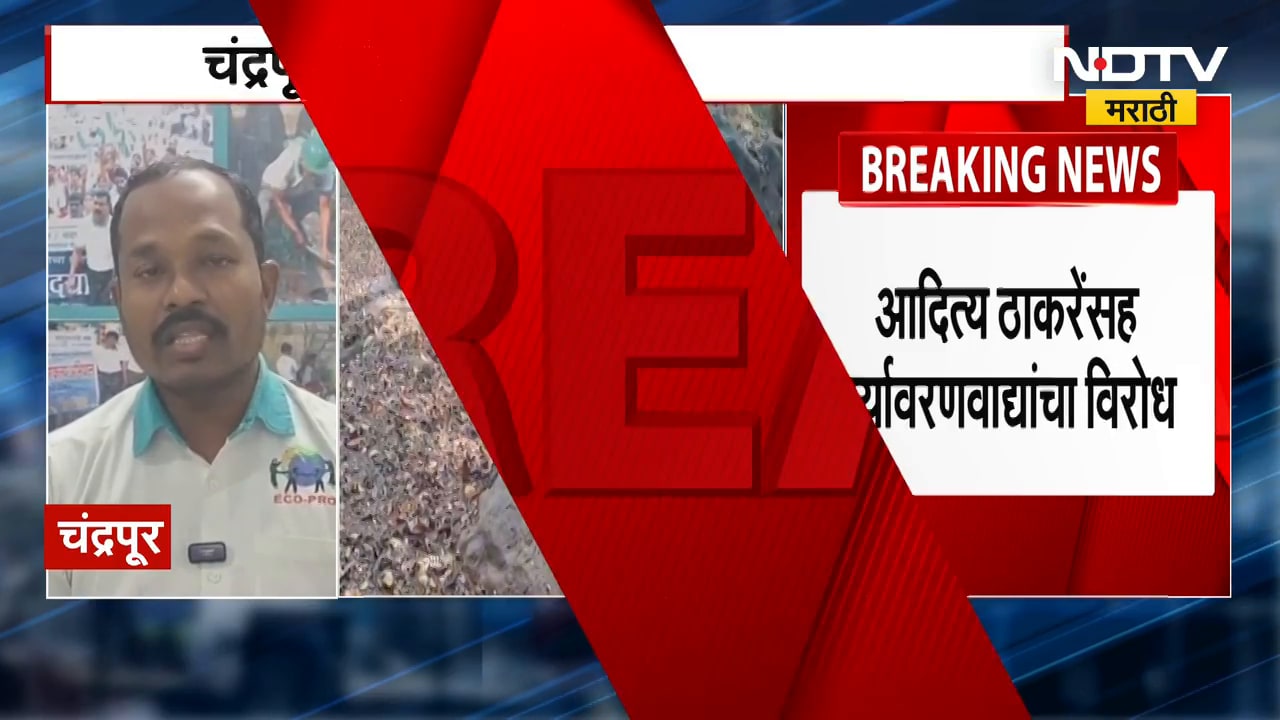 Chandrapur मधील लोह खाण वादात, वाघ आणि निसर्ग प्रभावित होण्याची भीती; आदित्य ठाकरेंचाही विरोध