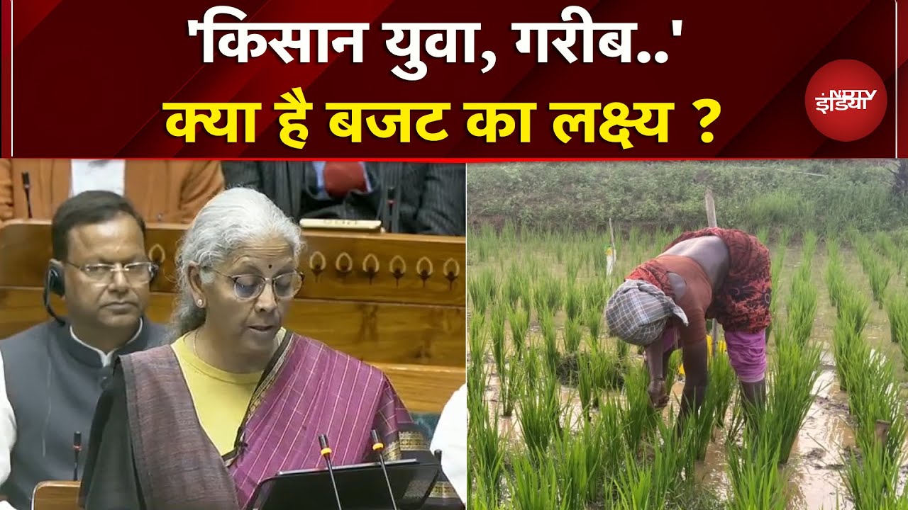 Budget 2026: बजट से कौन से लक्ष्य साधना चाहती है सरकार ? | Nirmala Sitaraman | Breaking News
