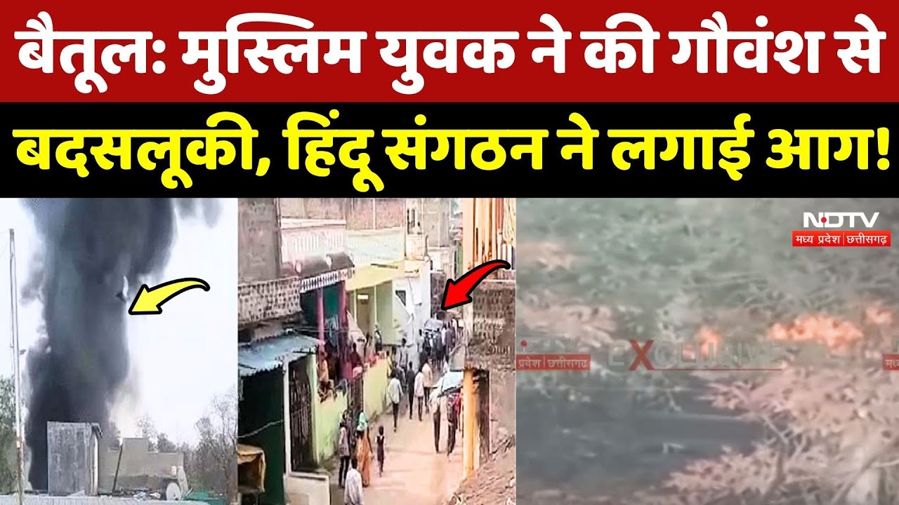 Betul Violence: Muslim युवक ने की गौवंश से बदसलूकी, Hindu Sangathan ने दुकान में लगाई आग!