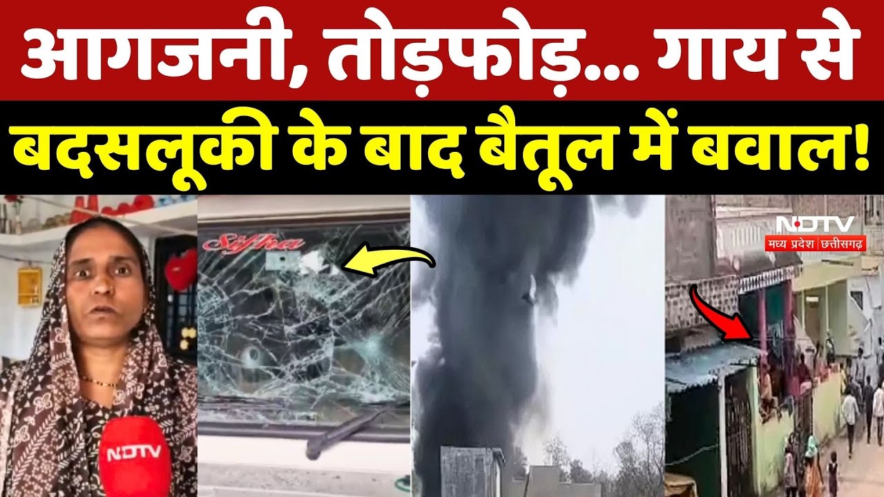 Betul News: आगजनी, तोड़फोड़... गाय से बदसलूकी के बाद बैतूल में बवाल!