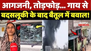 Betul News: आगजनी, तोड़फोड़... गाय से बदसलूकी के बाद बैतूल में बवाल!