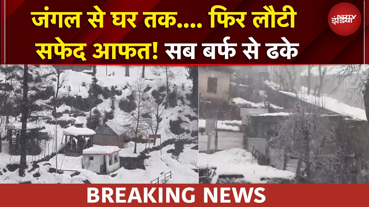 Weather News | रास्ते बंद, Alert जारी... पहाड़ों पर जरदार बर्फबारी | Snowfall | BREAKING NEWS
