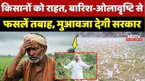 Fasal Muavja MP: Farmers को राहत, Rain and Hailstorm से Crops तबाह, मुआवजा देगी Sarkar