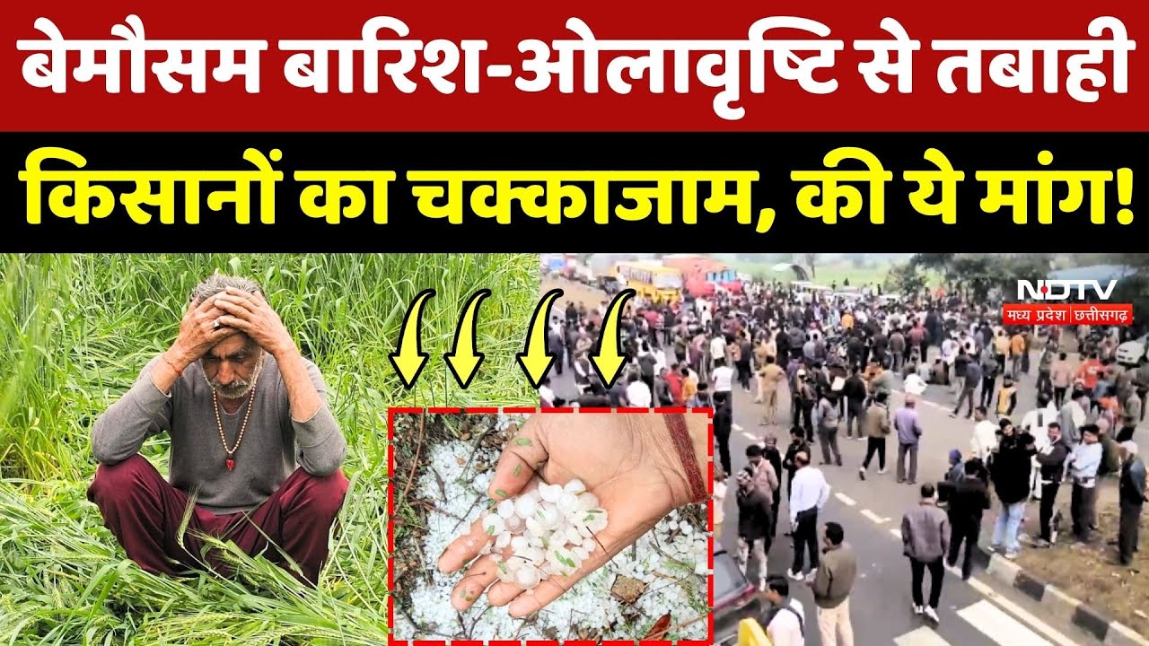 Fasal Muavja MP: बेमौसम Rain and Hailstorm से तबाही, Farmers का चक्काजाम, की ये मांग!