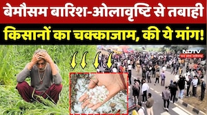Fasal Muavja MP: बेमौसम Rain and Hailstorm से तबाही, Farmers का चक्काजाम, की ये मांग!