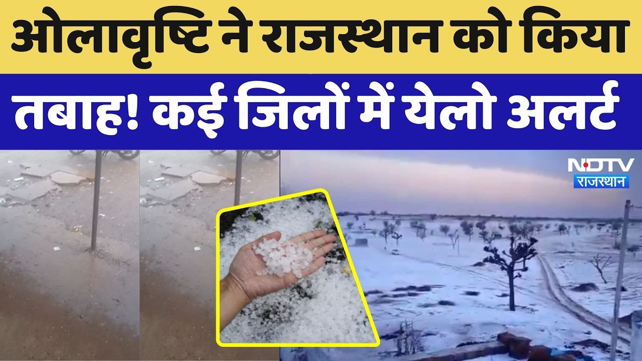 Weather Alert In Rajasthan: बेमौसम बारिश- ओले से फसल बर्बाद, कई जिलों में येलो अलर्ट। Rain। Top News