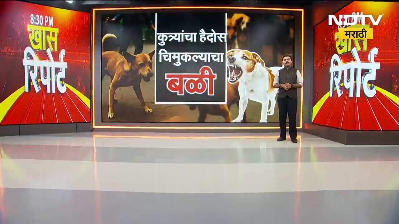 Bhiwandi मध्ये भटक्या कुत्र्यांची दहशत, नागरिक हैराण! | NDTV मराठी