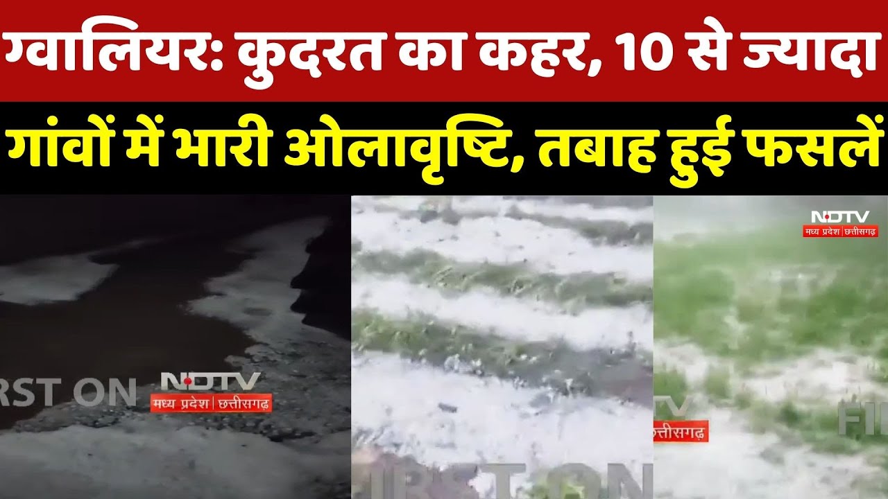Gwalior Weather : कुदरत का कहर, 10 से ज्यादा Villages  में भारी Hailstorm, तबाह हुई Crops