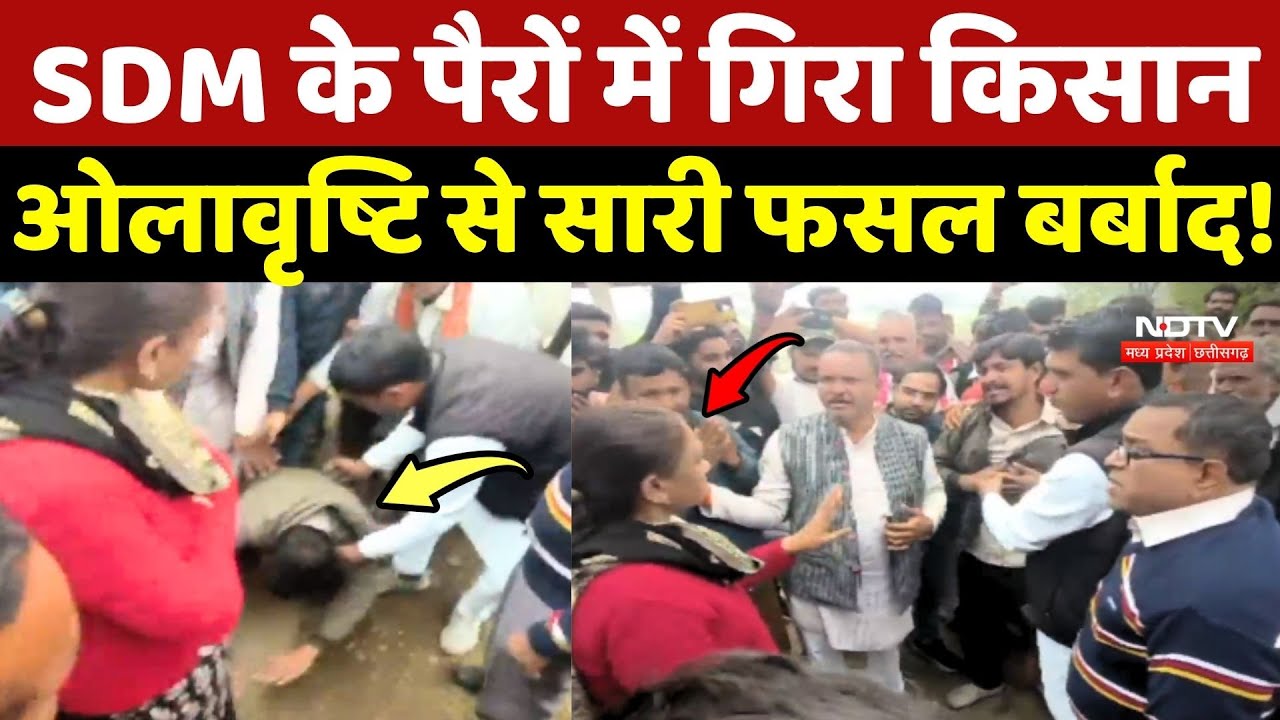 MP Weather News: SDM के पैरों में गिरा किसान, Hailstorm से सारी फसल बर्बाद
