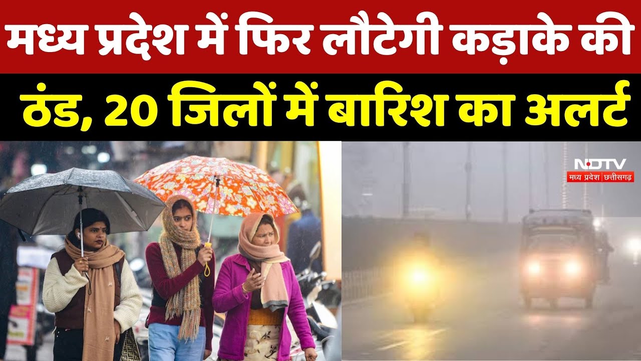 Weather News: MP में कुदरत का डबल अटैक, 20 जिलों में बारिश का अलर्ट, 11 शहरों में 'शिमला' जैसा कोहरा