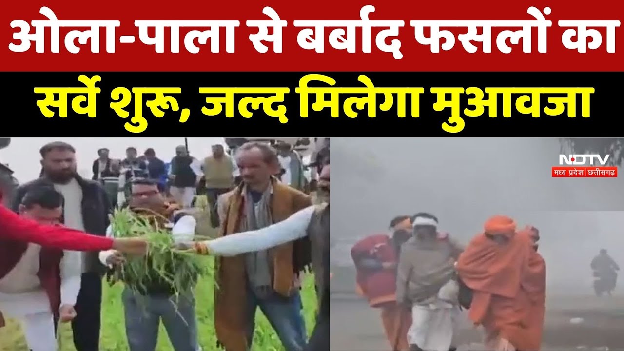 MP News : Farmers को बड़ी राहत, ओला-पाला से बर्बाद Crops का सर्वे शुरू, जल्द मिलेगा मुआवजा