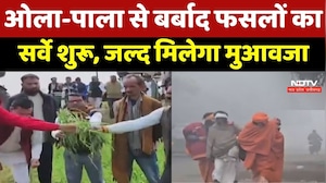 MP News : Farmers को बड़ी राहत, ओला-पाला से बर्बाद Crops का सर्वे शुरू, जल्द मिलेगा मुआवजा