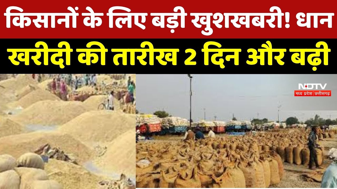 CG Dhan Kharidi Update: Chhattisgarh में धान खरीदी की Date बढ़ी, अब इस तारीख तक किसान बेच सकेंगे धान