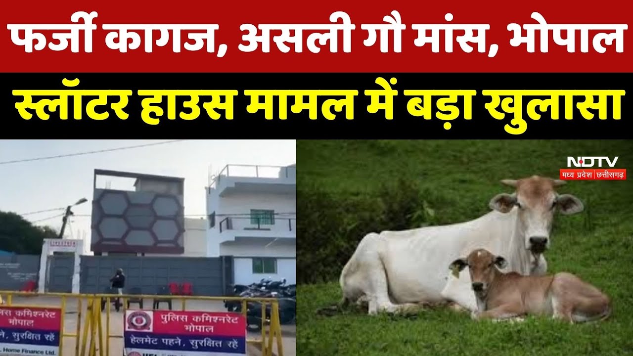 MP Beef Scandal: फर्जी कागज, असली गौ मांस, Bhopal Slaughter House मामल में हुआ बड़ा खुलासा