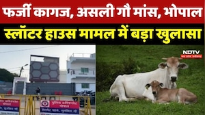 MP Beef Scandal: फर्जी कागज, असली गौ मांस, Bhopal Slaughter House मामल में हुआ बड़ा खुलासा