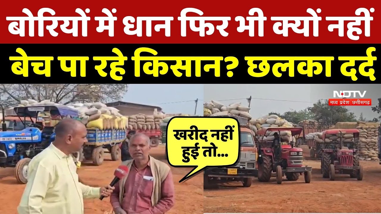 Bemetara Dhan Kharidi: बोरियों में धान फिर भी क्यों नहीं बेच पा रहे किसान? छलका दर्द | Chhattisgarh