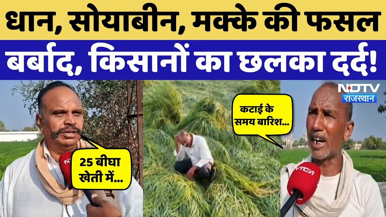 Bundi के किसानों का टूटा सब्र, फसलें बर्बाद, आंदोलन की दी चेतावनी! Farmers News | NDTV Rajasthan