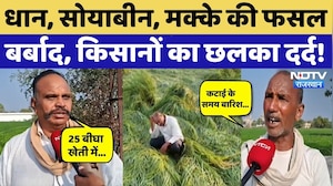 Bundi के किसानों का टूटा सब्र, फसलें बर्बाद, आंदोलन की दी चेतावनी! Farmers News | NDTV Rajasthan