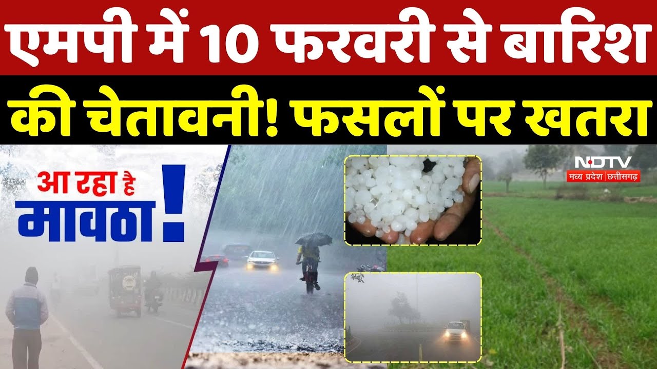 MP Winter Update: एमपी में 10 February से बारिश की चेतावनी! फसलों पर खतरा |Heavy Rain |Coldwave | MP