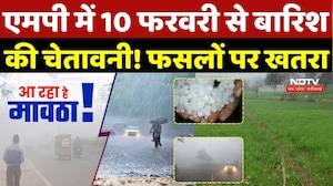 MP Winter Update: एमपी में 10 February से बारिश की चेतावनी! फसलों पर खतरा |Heavy Rain |Coldwave | MP